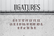 Briston, a Serif Font by Typeskets (Thumbnail 9 of 13)