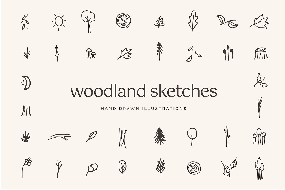Woodland Icons Illustrations Forest, an Outline Icon by CreativeWilderness (Photo 1 of 11)