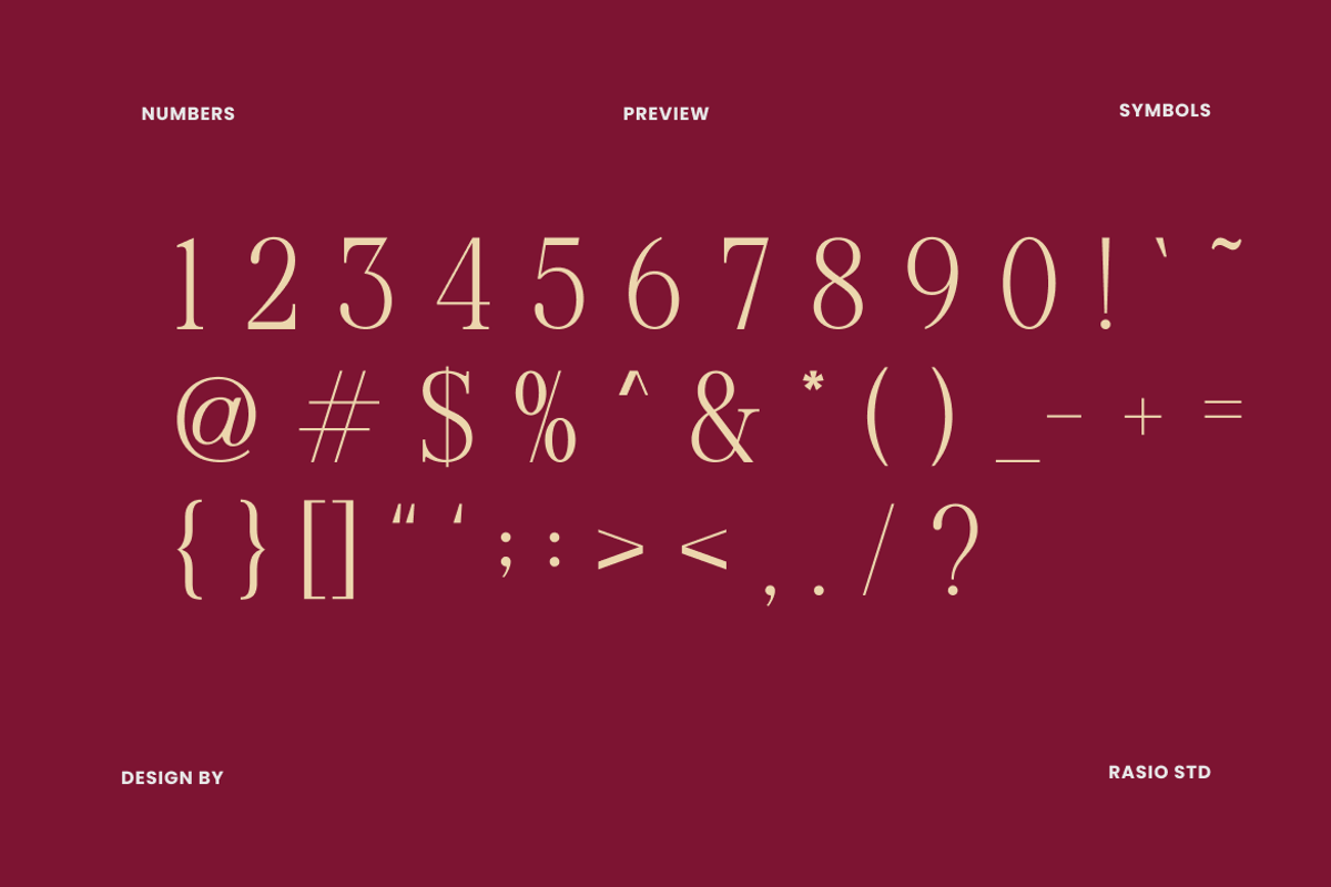 Margiona Modern Elegant Serif Font, a Serif Font by Rasio Studio (Photo 3 of 9)