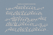 Rinapelle - Vintage Script Font, a Script Font by Get Studio (Thumbnail 14 of 15)