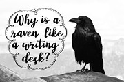 Wonderland, modern calligraphy font, a Script Font by Rachel White Art (Thumbnail 9 of 11)