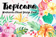 Watercolor Tropical Floral Pack, a Background Graphic by LarysaZabrotskaya (Thumbnail 1 of 5)
