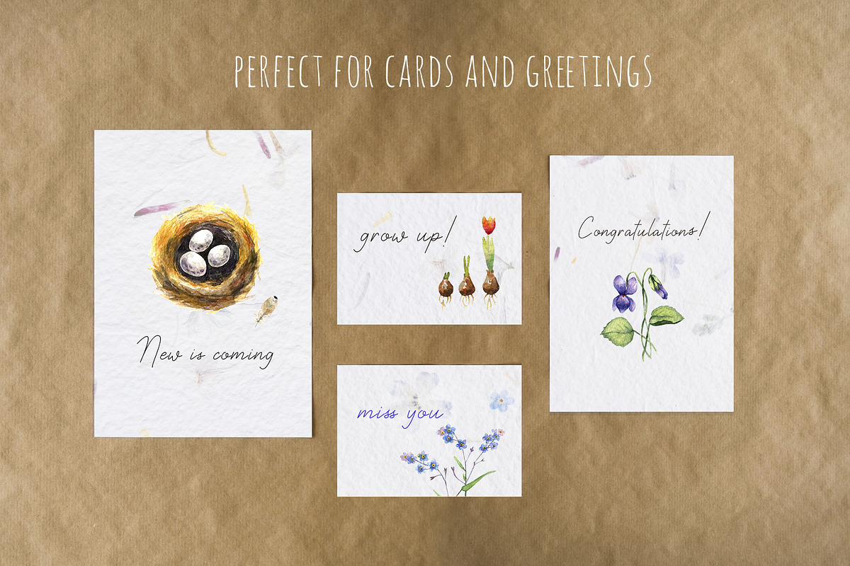 Watercolor Spring Creator, an Animal Illustration by SophieLittleEye (Photo 11 of 12)