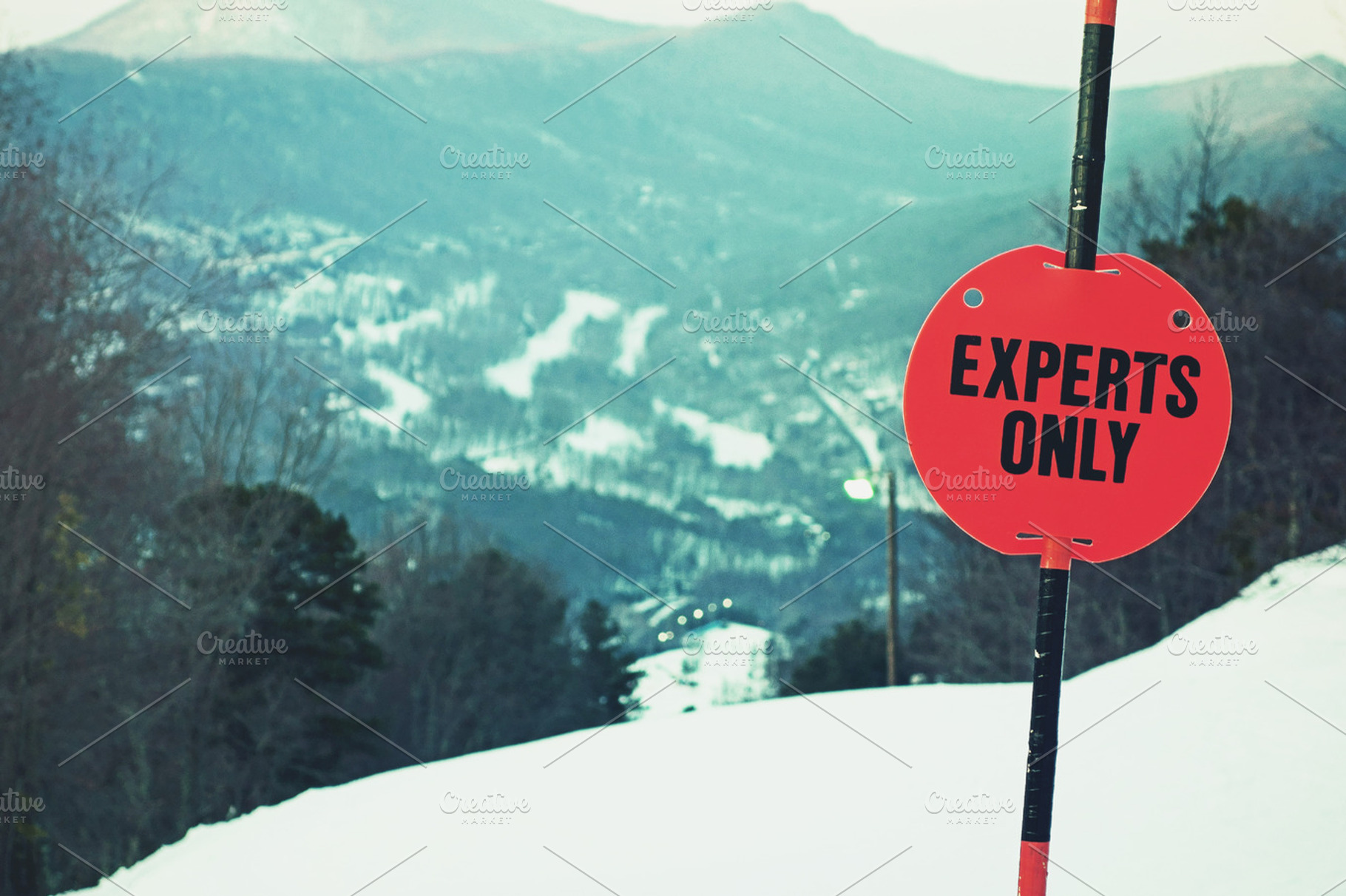Experts Only