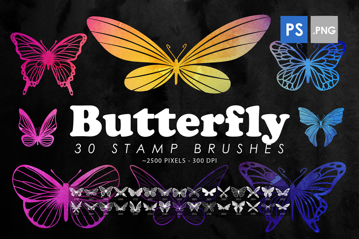 30 Butterfly Photoshop Brushes, PNG, a Brush Add-On by ArtistMef (Photo 1 of 4)