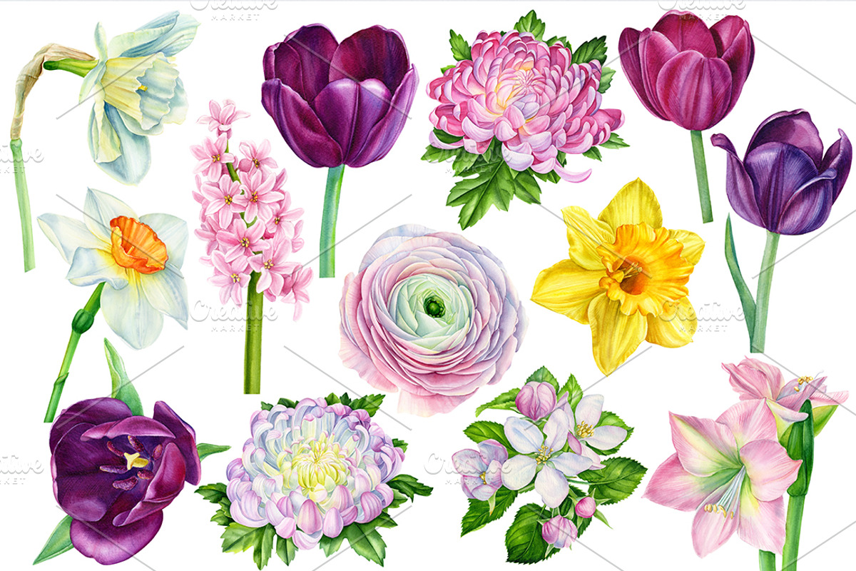 Beautiful bouquet of flowers, a Decorative Illustration by Hanna Hryharenka (Photo 10 of 10)
