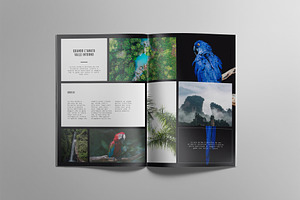 RAINFOREST Brochure / Portfolio