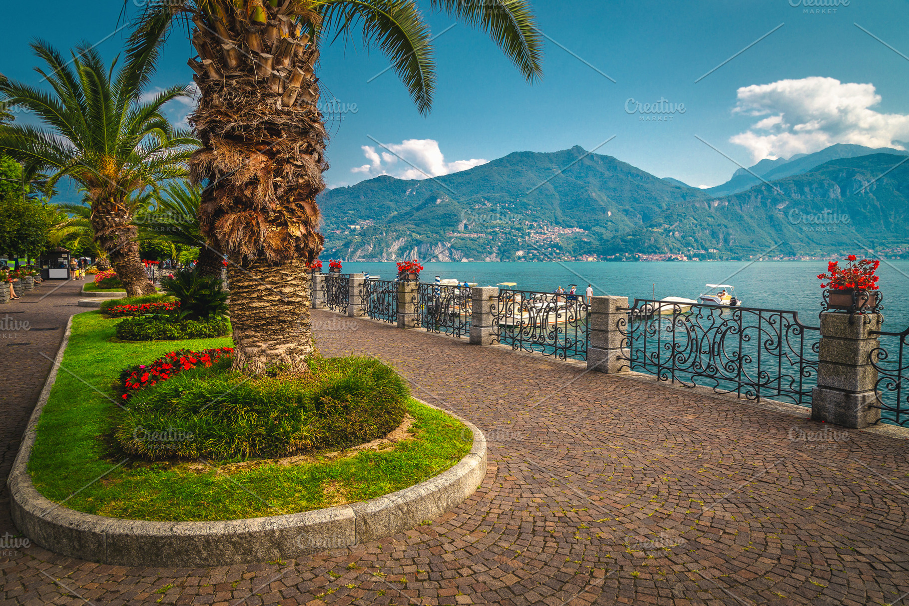 Palm trees and flowery walkway, a Nature Photo by Alpine Dreams