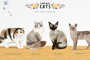 Curious Cats Feline Clipart, an Animal Illustration by Twigs and Twine (Thumbnail 6 of 11)