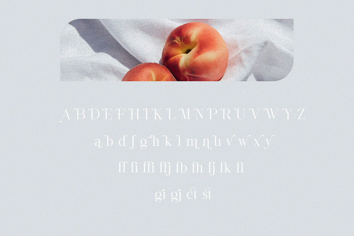 Lecouna - Modern Serif Font, a Serif Font by Jimoji (Photo 12 of 12)