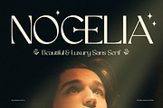 Nocelia - Luxury Sans Serif Font, a Sans Serif Font by Flawless And Co (Thumbnail 1 of 10)