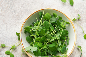 Green pea shoots in bowl, healthy microgreens for fresh eating, a Food & Drink Photo by Olena Rudo