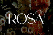 Sanctimony Elegant Serif Font, a Serif Font by UICreative (Thumbnail 9 of 13)