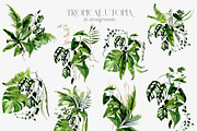 Tropical Greenery Watercolor Clipart, an Illustration by whiteheartdesign (Thumbnail 3 of 22)