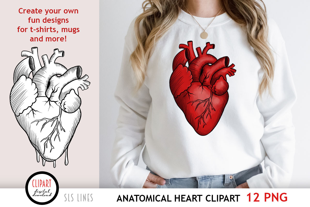 Anatomical Heart Clipart, an Illustration by SLS Lines (Photo 3 of 5)