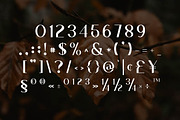Sttacher Font, a Sans Serif Font by Artiveko (Thumbnail 4 of 10)