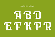 Rister Kollefos Brush, a Handwritten Font by QR Design Studio (Thumbnail 8 of 9)