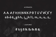 RDN SANS SERIF FONT FAMILY, a Sans Serif Font by rmdndsign (Thumbnail 3 of 8)