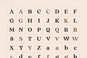 Vintage - Retro Serif Font, a Serif Font by Sensatype (Thumbnail 10 of 16)