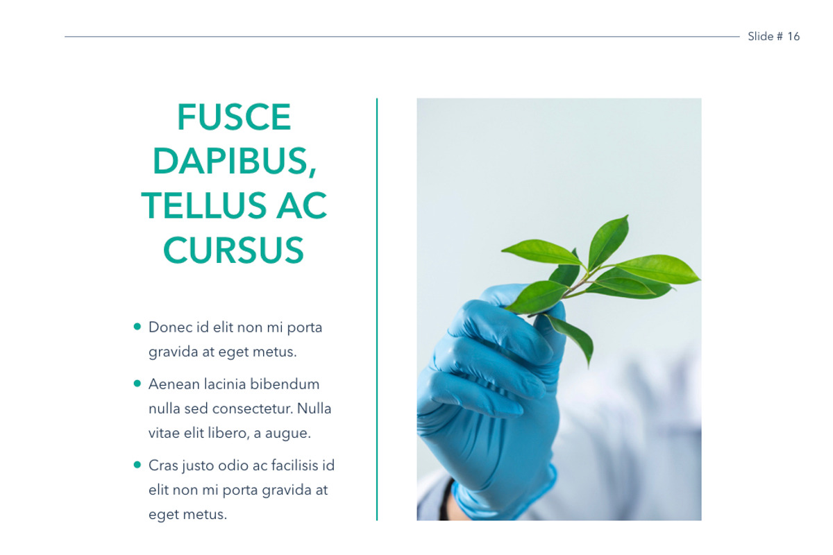 Scientific Report Keynote Theme, a Presentation Template by Jumsoft (Photo 3 of 16)