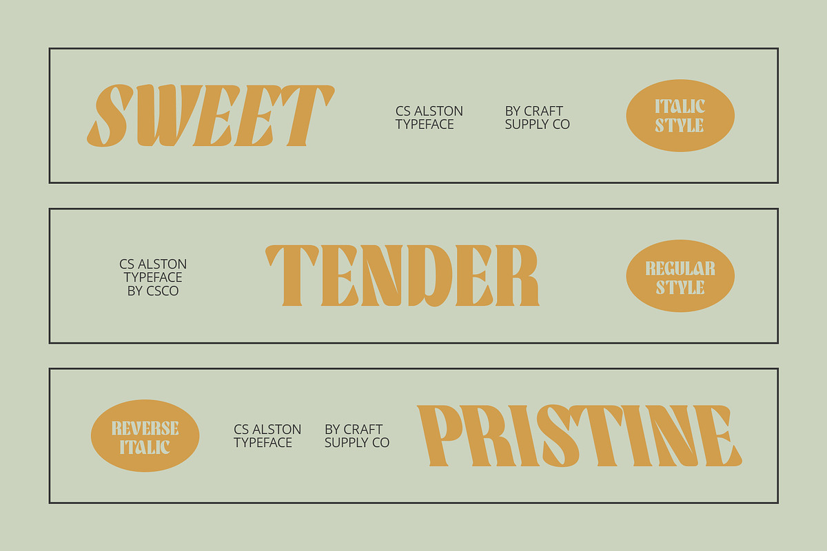 CS Alston – Bold Font, a Serif Font by Craft Supply Co. (Photo 3 of 8)