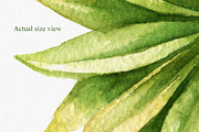 Watercolor Tropical Leaves, a Decorative Illustration by Chelovector (Thumbnail 3 of 5)
