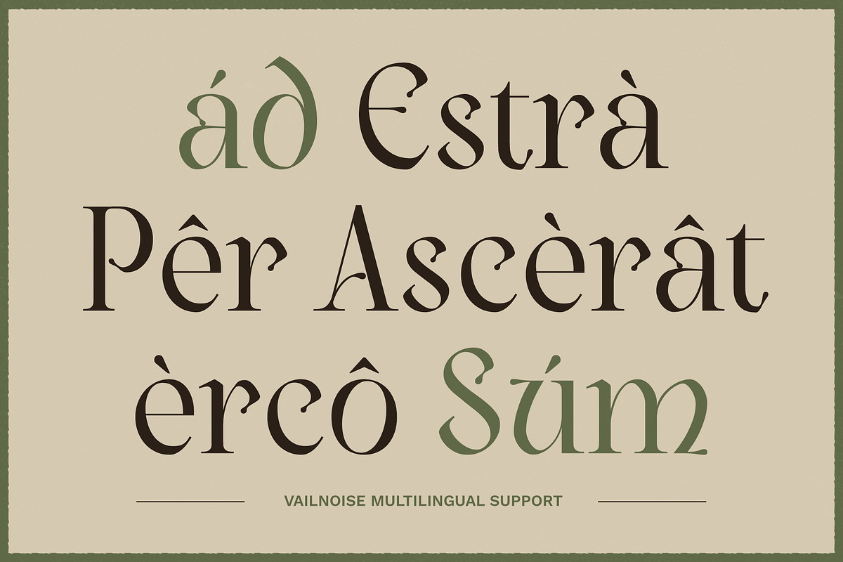 Vailnoise - Classic Vintage Serif, a Serif Font by Typia Nesia (Photo 4 of 16)