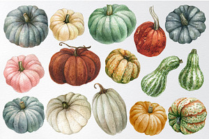 Watercolor Pumpkin Clipart