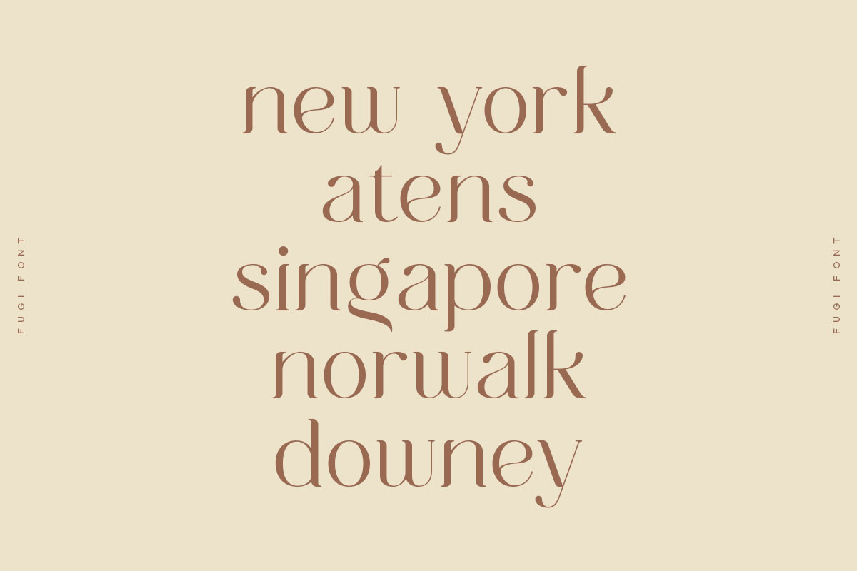 Fugi Font, a Serif Font by vuuuds (Photo 9 of 15)