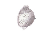 Watercolor kitchenware hand painted, an Illustration by My watercolor shop (Thumbnail 3 of 7)