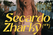 Cherlav - Modern Ligature Font, a Sans Serif Font by RagamKata (Thumbnail 4 of 10)