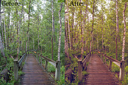 10 Landscape Lightroom Presets, a Preset Add-On by EzDigitals (Thumbnail 3 of 4)