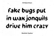 CS Waylen Drawn, a Blackletter Font by Craft Supply Co. (Thumbnail 4 of 8)