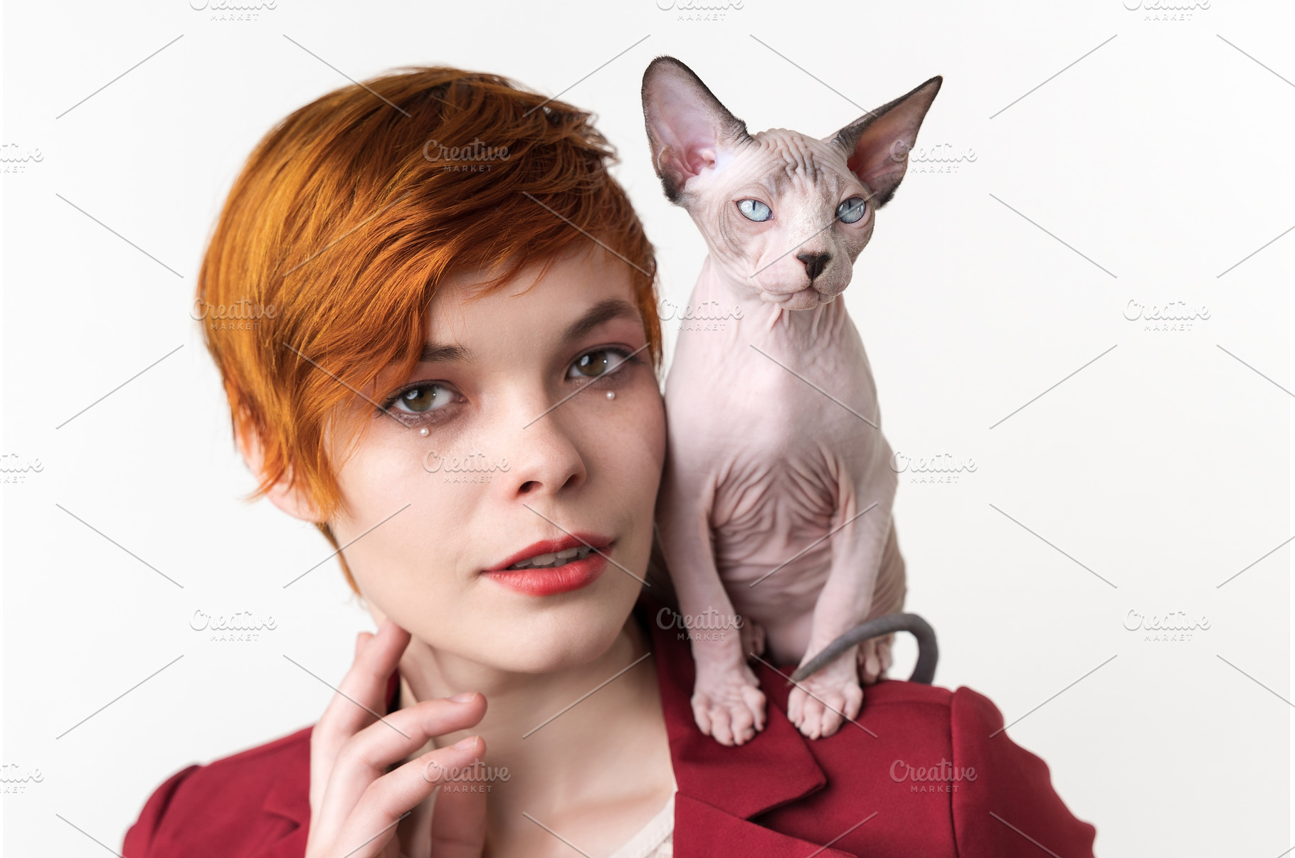 Cat sitting on shoulder young woman, an Animal Photo by Alexander-Piragis