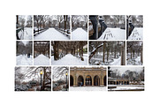 Winter In Central Park NYC Photos, an Arts & Entertainment Photo by Full Circle Design Studio (Thumbnail 2 of 5)