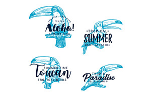 Toucan Exotic Bird, Lettering