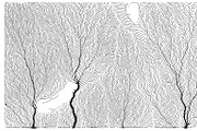 Growth - 50 Backgrounds, a Texture Graphic by GarryKillian (Thumbnail 34 of 51)