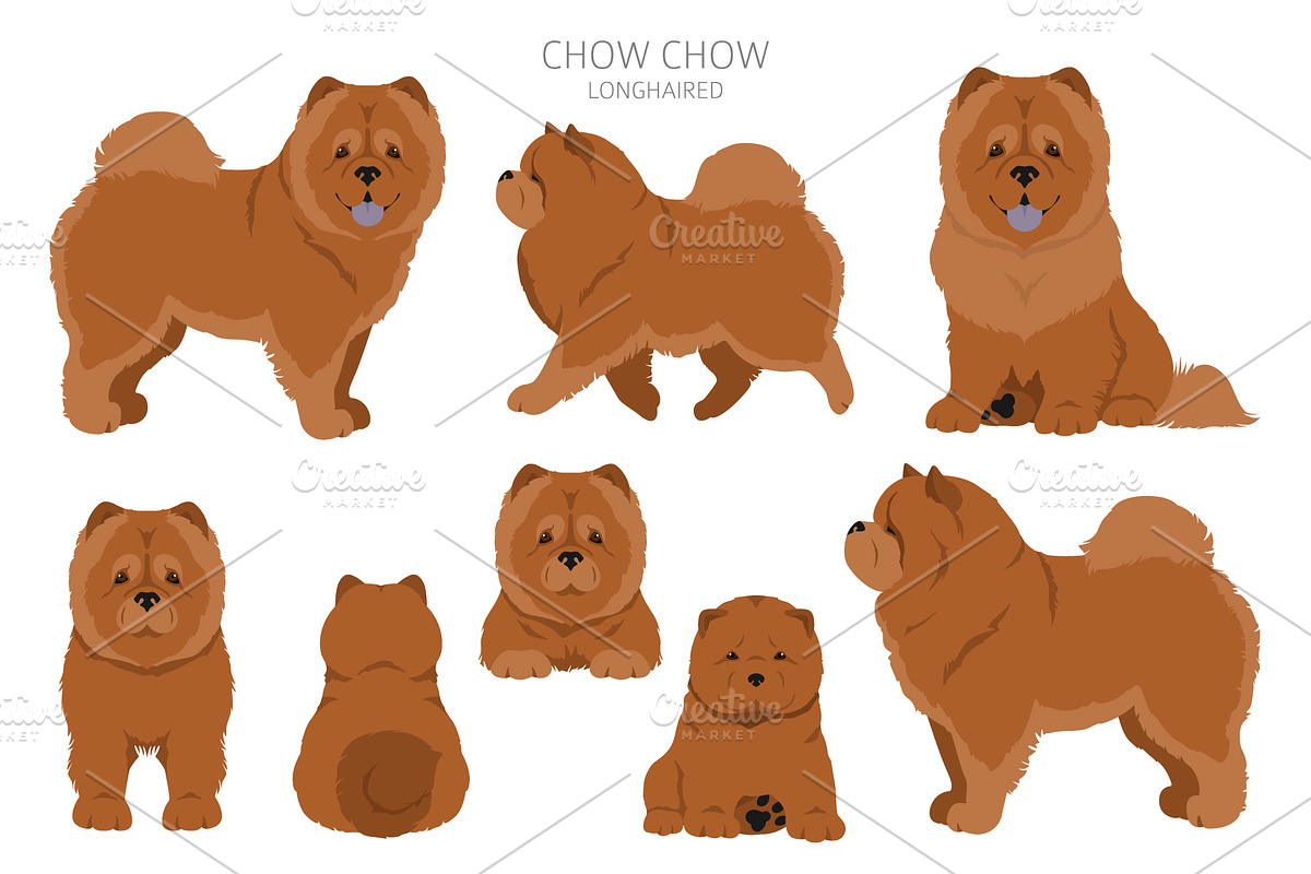 Chow chow (longhaired) clipart, an Animal Illustration by pet design shop (Photo 8 of 9)