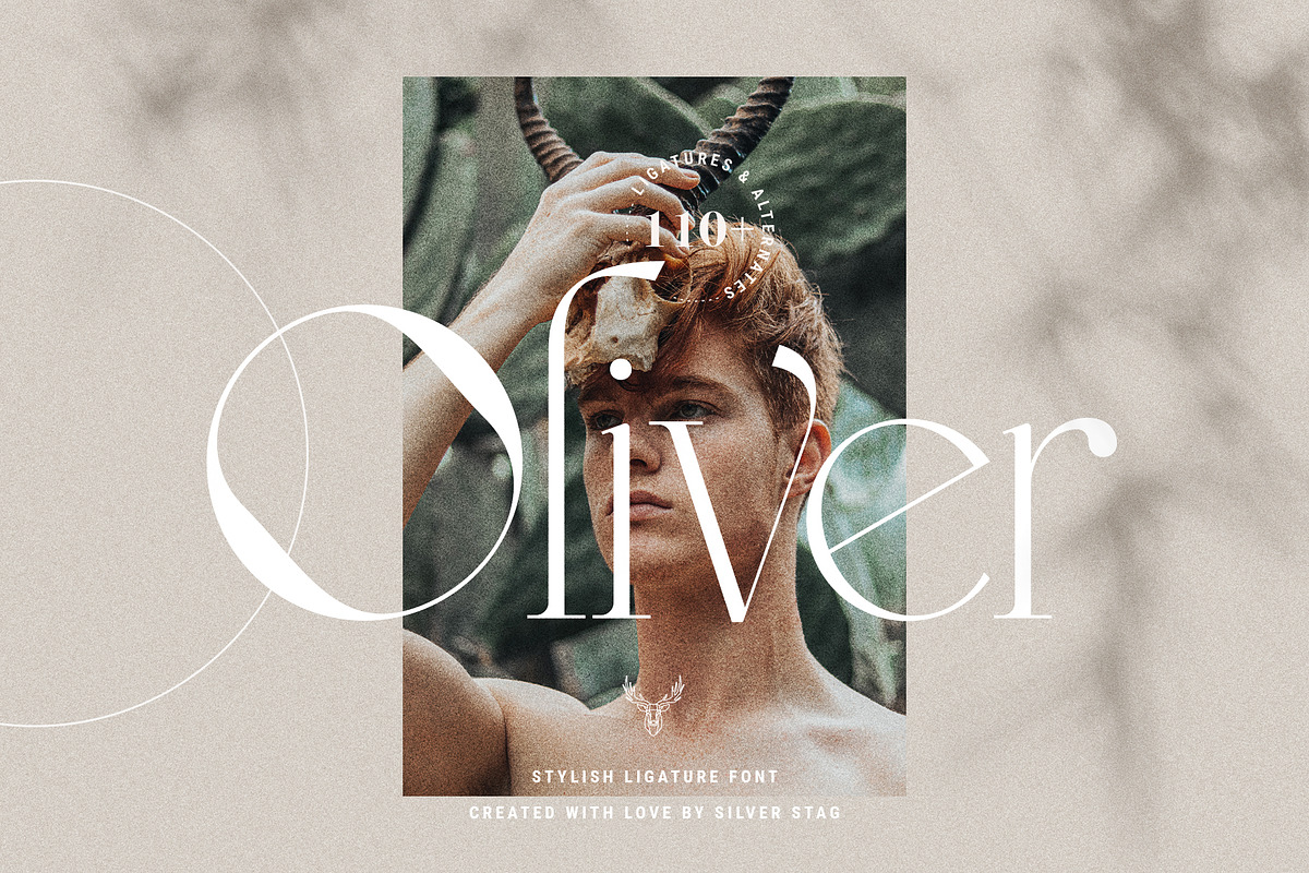 MOON CROWD - Elegant & Stylish Serif, a Serif Font by SilverStag Type Foundry (Photo 12 of 26)