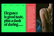 Blacklady Font Family, a Serif Font by Mulkan Nazir (Thumbnail 9 of 15)