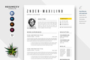 Resume/CV Template, a Resume Template by ArtisticLand (Thumbnail 1 of 3)