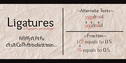 Hideko, a Serif Font by Khaito Gengo (Thumbnail 7 of 7)