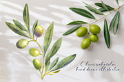 Olive Branches Watercolor Clipart, a Food Illustration by YarovaArt (Thumbnail 2 of 28)