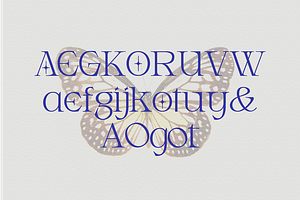 Armeston - Modern Serif