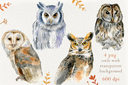 Watercolor Owls set, an Animal Illustration by Nastilustra (Thumbnail 2 of 4)