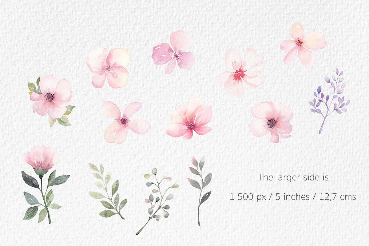 Watercolour Butterflies and Flowers, an Illustration by Lemon design (Photo 10 of 17)