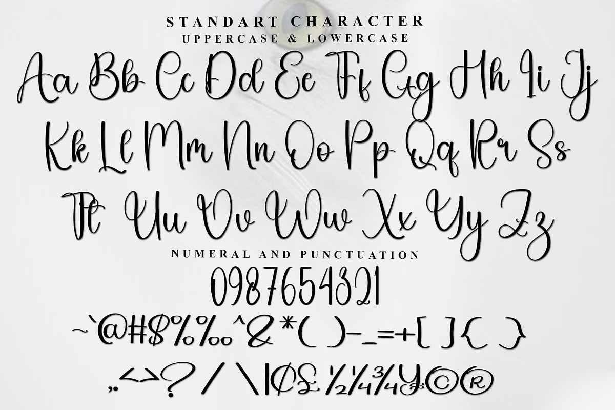 Showtime, a Handwritten Font by FreshTypeINK (Photo 4 of 7)