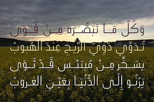 Ikseer - Arabic Typeface