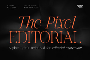The Pixel Editorial – Modern Serif, a Sans Serif Font by Lettertype Studio