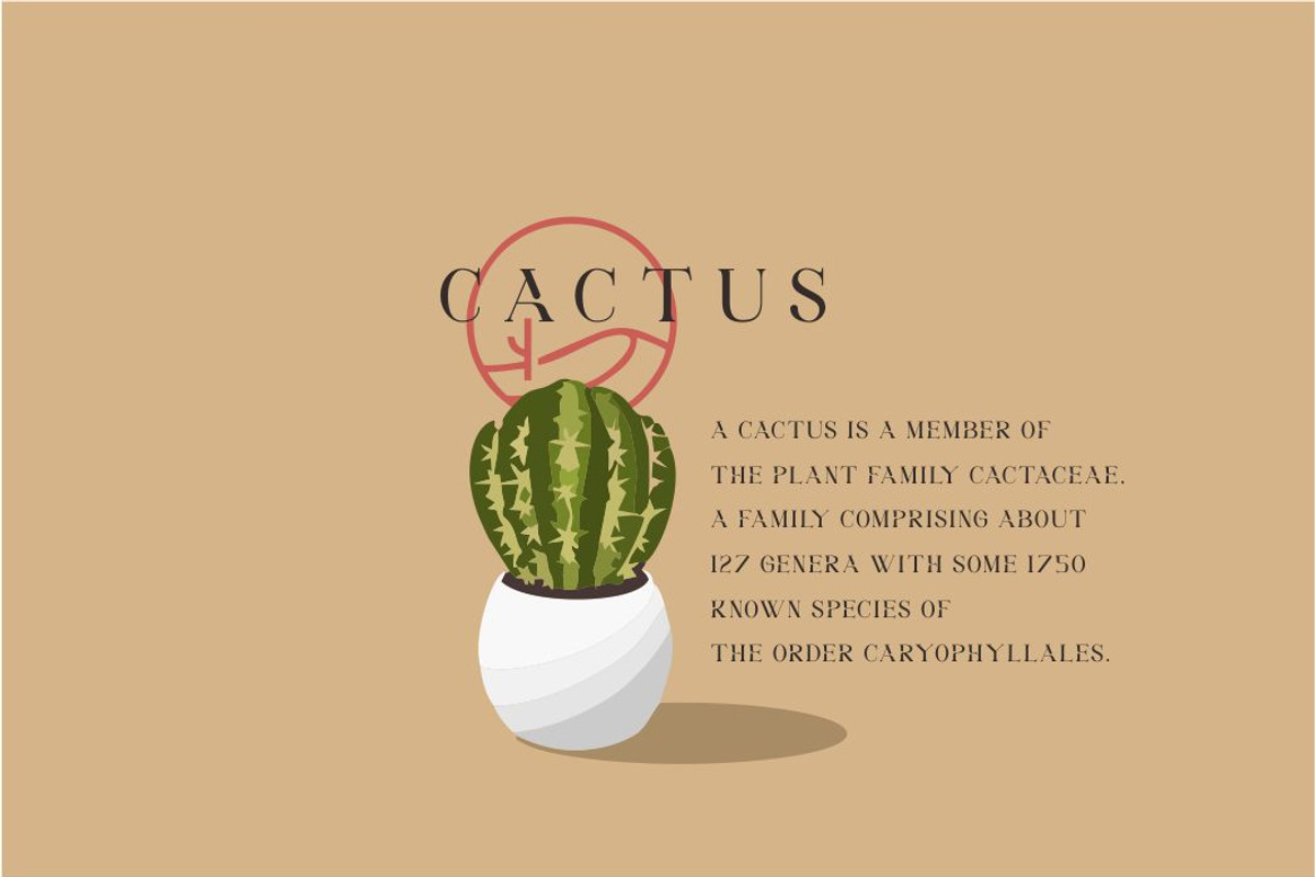 Medifa Font | Beautifull Serif Font, a Serif Font by WhymoreArt (Photo 3 of 10)